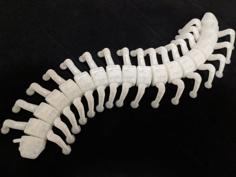 Flexi Centipede Remix 3D Printer Model