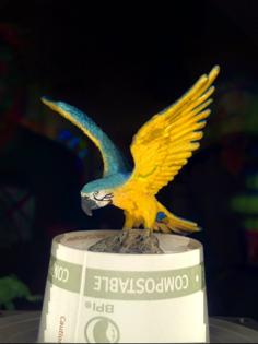 Tropical Bird 3D Printer Model