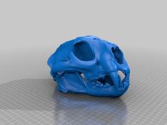 Mountain Lion Skull 3D Printer Model