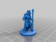 Tabaxi Wanderer 3D Printer Model