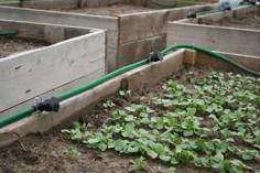 Irrigation Nozzle For My Raised Beds 3D Printer Model