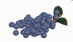 Realistic Grapes Model 3D Printer Model