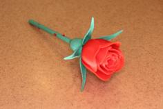 Rose With Stem & Thorns & Sepals & Hip For Valentine’s Day 3D Printer Model