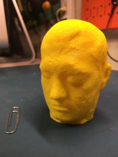 Phineas Gage Lifecast (lifemask) 3D Printer Model