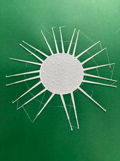 Tactile Image: Sea Urchin 3D Printer Model