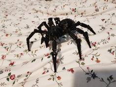 Wolf Spider Remixed 3D Printer Model