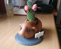 Guinea Pig Flower Pot – Pot De Fleurs Cochon D’inde 3D Printer Model