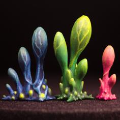 Tabletop Plant: “Blob Crowd Plant – 3 Minis Set” (Alien Vegetation 16) 3D Printer Model