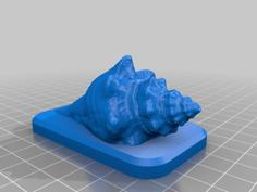 Seashell 3D Printer Model