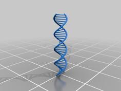 DNA (Autodesk & .stl File) 3D Printer Model