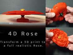 4D Printed Rose 3D Printer Model