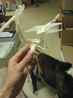 Pteradon Dino 3D Printer Model