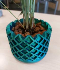 Flower Pot 3D Printer Model