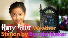 Harry Potter Weather Station – Mirror Of Erised REMIX 3D Printer Model