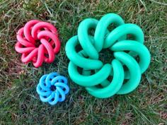 Torus Knot Decoration 3D Printer Model