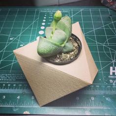 Geometric Planter 3D Printer Model