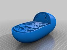 MITOCHONDRIA BIOLOGIA 3D Printer Model