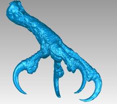 Leg And Claws Of An Osprey 3D Printer Model