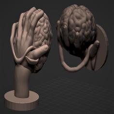 Hand Sculpture (with A Brain On It) 3D Printer Model