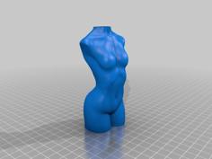 Flat Vase Woman Chest 3D Printer Model