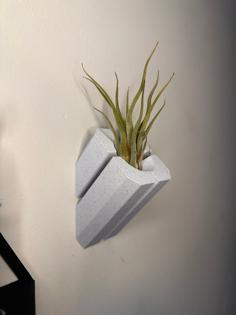 Air Plant Wall Mount 3D Printer Model