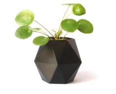 Hexagonal Flower Pot #3 3D Printer Model