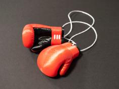 Multi-Color Boxing Gloves 3D Printer Model