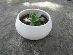 Parametric Succulent Planter 3D Printer Model