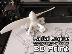 Radial Engine ( Compressed Air Engine ) Experimental 3D Printer Model