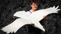 RC 3D Printable EAGLE, RC Electric Motor Glider 3D Printer Model