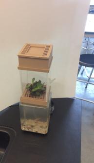 Desk Top Aquaponics System 3D Printer Model