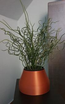 Vase With Plant Insert 3D Printer Model