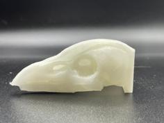 Bird Skull 3D Printer Model