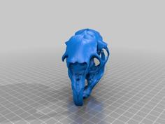 North American Porcupine Skull 3D Printer Model