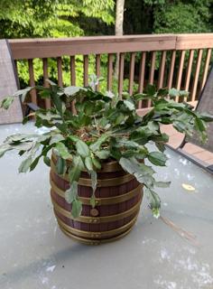 Bourbon Barrel Flower Pot 3D Printer Model