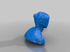 Duncanburgess 3D Printer Model