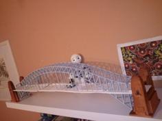 The Sydney Harbour Bridge 3D Printer Model