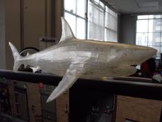 Great White Shark 3D Printer Model