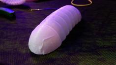 Isopod Pill Bug 3D Printer Model