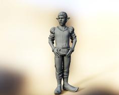 Gnerkli, Gnomengarde Gnome Co-King 3D Printer Model