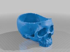 Hanging Skull Planter With Flat Inside 3D Printer Model