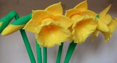 Digital Daffodils 3D Printer Model