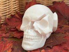 Skull Puzzle 3D Printer Model