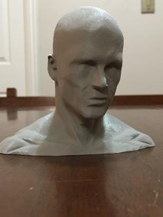 High Poly Low Detail Head 3D Printer Model