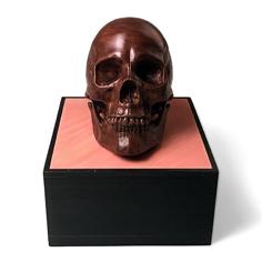 Anatomical Human Male Skull(updated 11/7/2020) 3D Printer Model