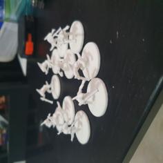 Skings 25mm Base 3D Printer Model