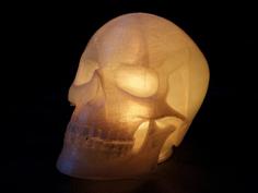 Skull LED Lamp 3D Printer Model