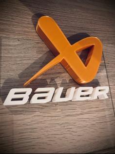 Bauer: Home Of Hockey 3D Printer Model