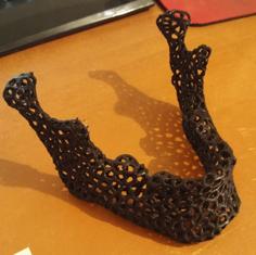 Voronoi Mandible Card Holder (4 Bases) 3D Printer Model