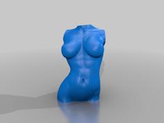 Nude Woman Bust 3D Printer Model